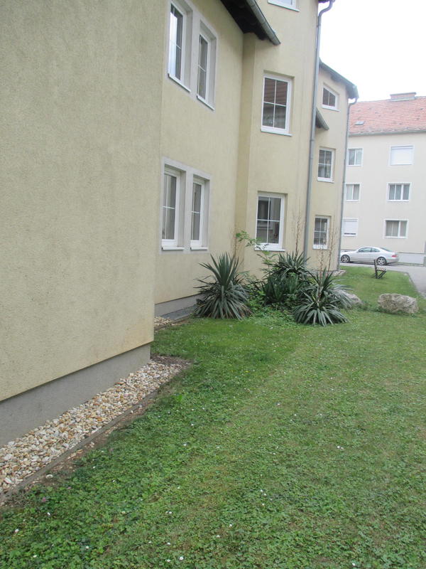 Schne 1-Zimmer Wohnung im EG in Bruck an der Leitha