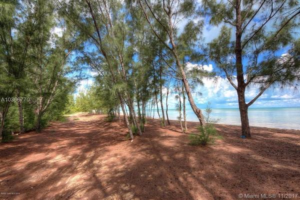 BAHAMAS RED BAY 519 ACRES OF UNTOUCHED NATURE SOURRONDED BY THE OCEAN 