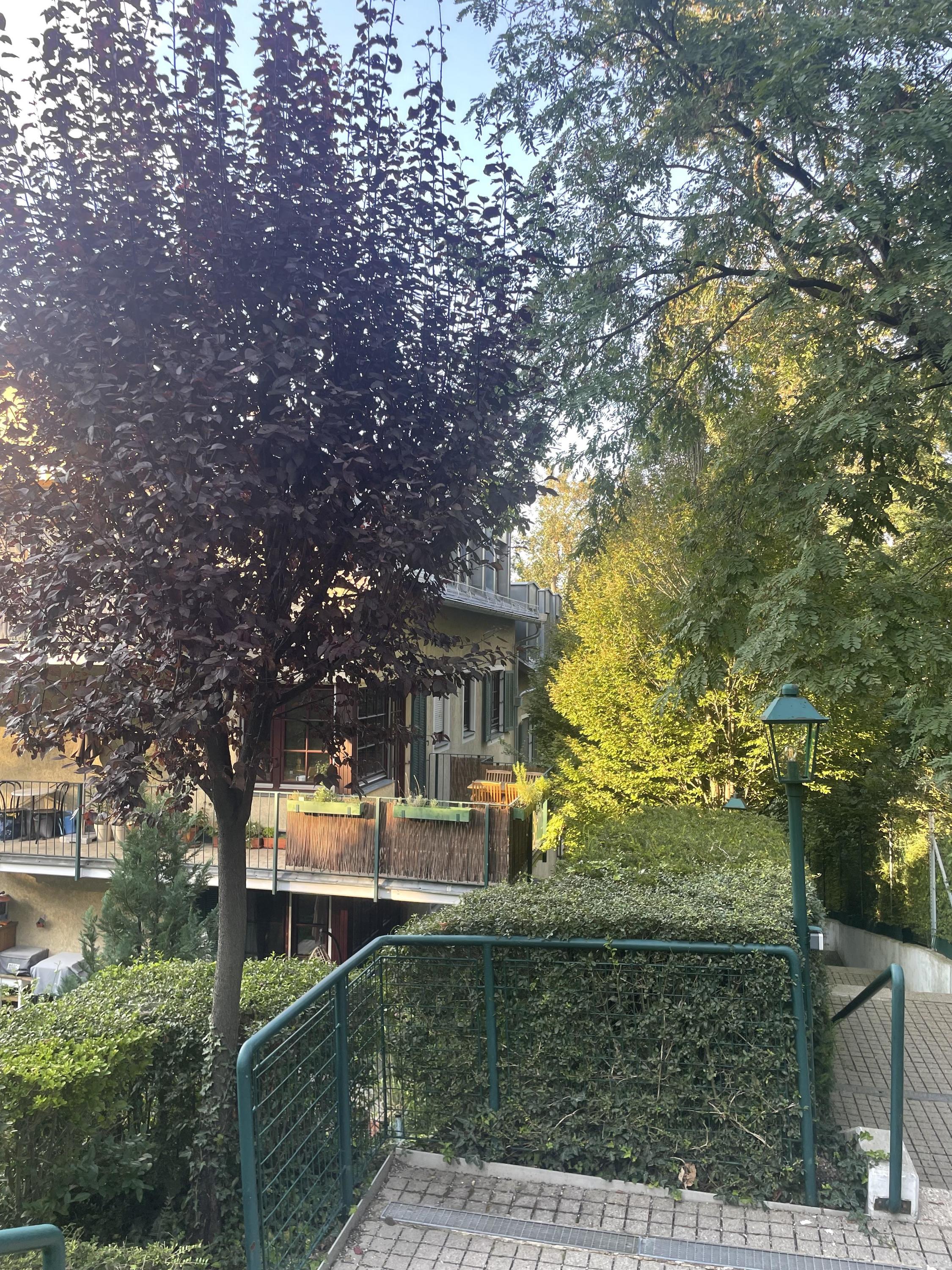 INNENANSICHTEN - IMG_4301