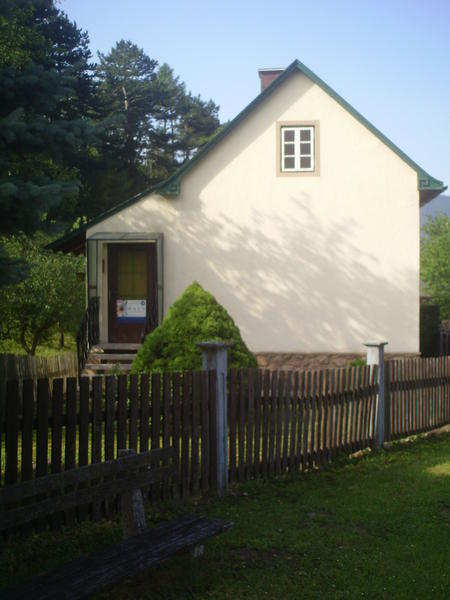 AUSSENANSICHTEN - Haus Grünbach mit ca. 180m² Nutzfläche